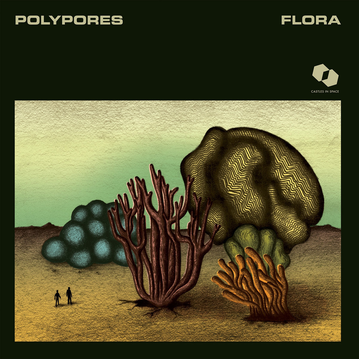 Polypores – Flora